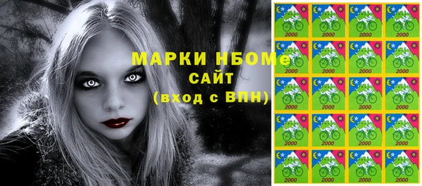 шишки Белокуриха