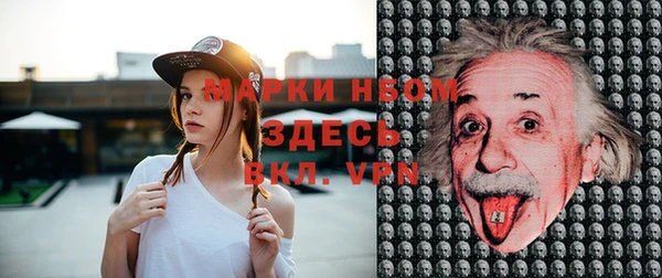 шишки Белокуриха