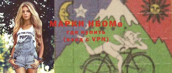шишки Белокуриха
