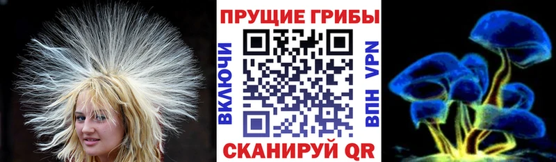 Псилоцибиновые грибы Psilocybe  как найти закладки  Зея 